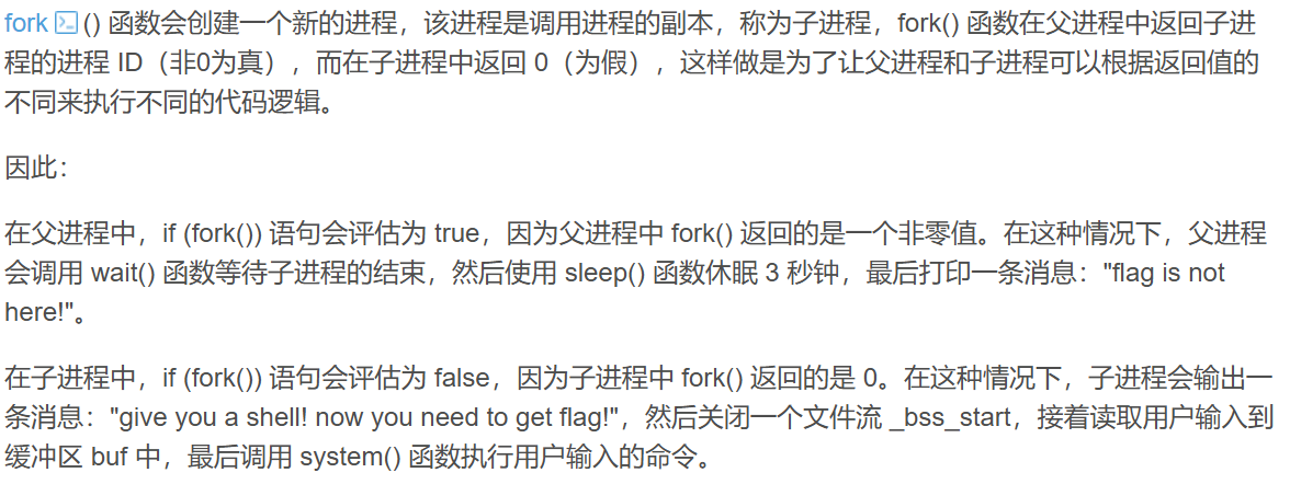 fork 说明